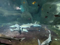 -福州罗源湾海洋世界旅游区
