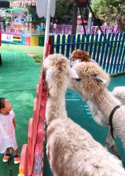 -萌宠亲子动物乐园(槐房万达店)