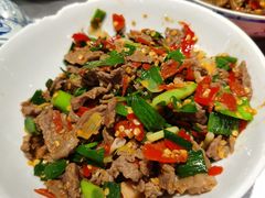 -壹盏灯(惠农店)