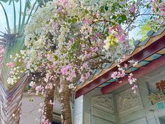 -深圳国际园林花卉博览园