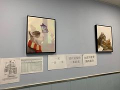 -纳吉亚猫专科动物诊疗中心(蒋宅口分院)