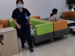 -北京观赏动物医院·24小时大型综合·猫专科·异宠专科