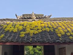 -冶父山国家森林公园