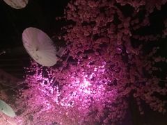 -韵秋荷(宝山龙湖天街店)