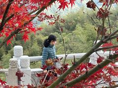 -径山寺