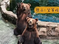 -深圳野生动物园
