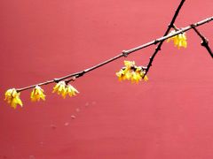 -钱王祠