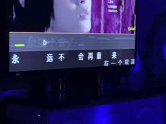 -圣地雅歌KTV(市府广场店)