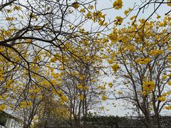 -盈香心动乐园