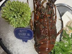 -海月轩海鲜豆捞(紫金塔店)