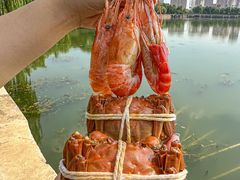-蟹天蟹地农家菜·阳澄湖大闸蟹(浅水湾店)