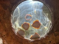 -珠海长隆海洋王国