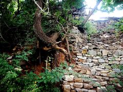 -井塘古村