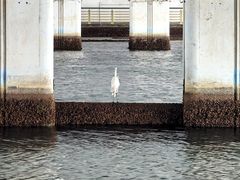 -筼筜书院