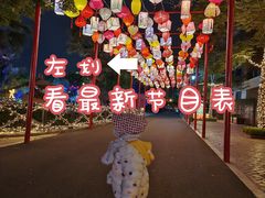 -灵玲国际马戏城