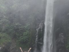 -莫里热带雨林景区