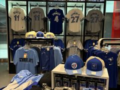 -丰业银行球馆(Scotiabank Arena)