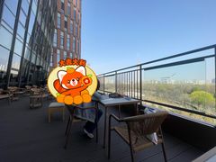 -中国宋庆龄青少年科技文化交流中心