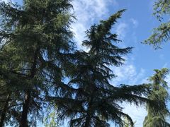 -四川大学(华西校区)