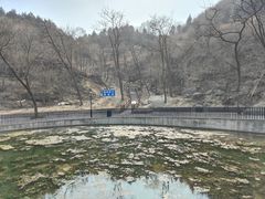 -白水寺森林公园