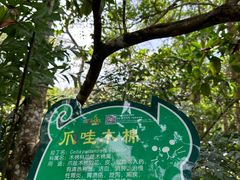 -呀诺达热带雨林