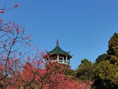 -无锡梅园公园