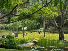 -云溪植物园