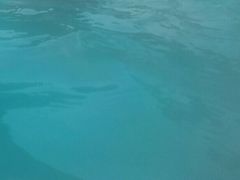 -济南园博园水上乐园