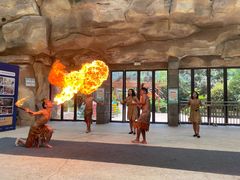 -杭州开元森泊度假乐园