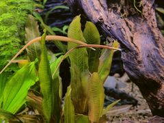 -上海海洋水族馆