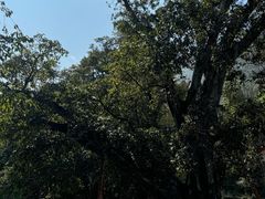 -抚仙湖禄充风景区