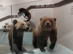 -武汉园博园(武汉自然博物馆)