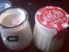 -狐狸家·酸奶酪专门店(平江路店)