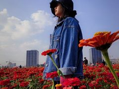 -映月湖中央公园