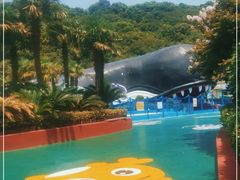 -平湖九龙山乐满地水上乐园