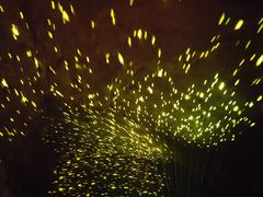 -地心探险极地