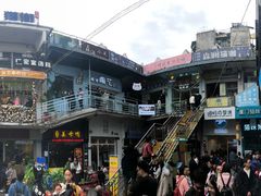 -猫咪博物馆(顶澳仔猫街店)