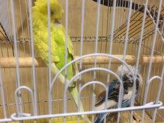 大堂-杭州香格里拉·香宫中餐厅