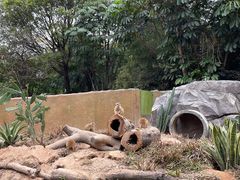 -广州动物园