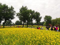 -长白岛森林公园