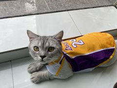 -佳雯宠物医院·皮肤科·内外科(春晓路分院)