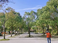 -新江湾城公园