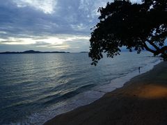 -卷心菜和避孕套餐厅(Pattaya)