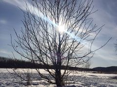 -北极村旅游风景区