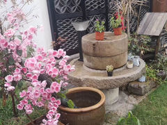 -川锅一号火锅(1818牌楼店)