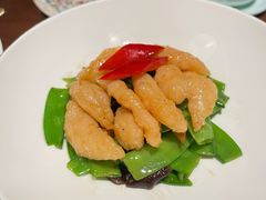 -觅唐MITONG(鸟巢店)