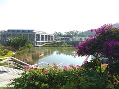 -厦门国家会计学院