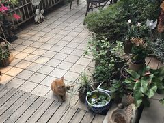 -默迹咖啡馆