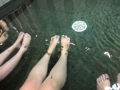 -汉拿山温泉度假酒店