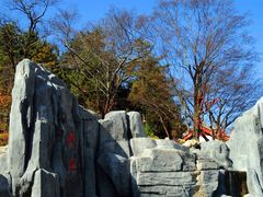 -塔云山